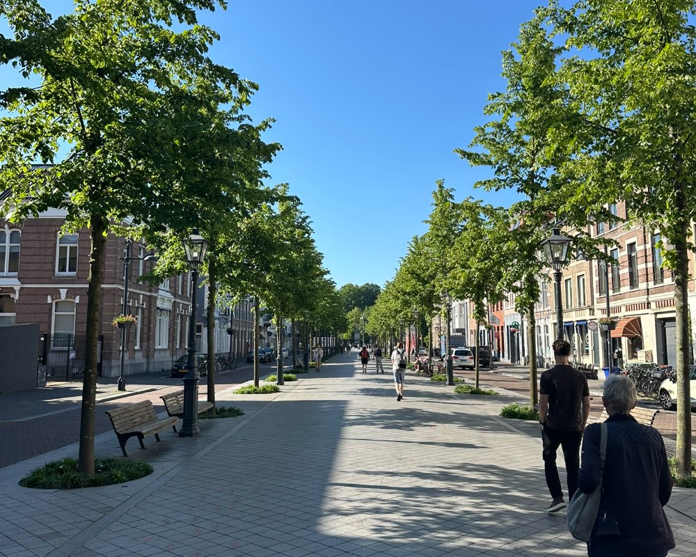 Wandelpromenade met bomen in Breda