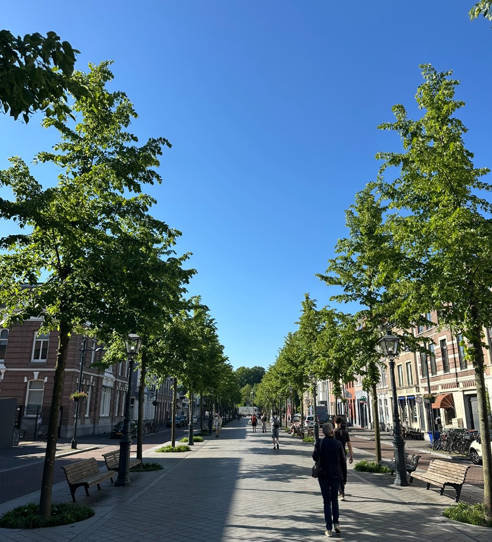 Een groene laan in Breda met voorbijgangers